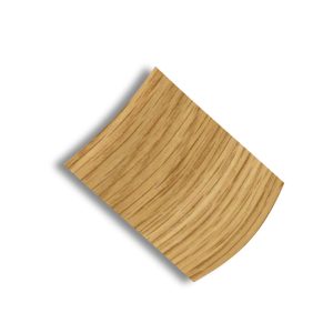 PLV063 Európai tölgy - Europen oak