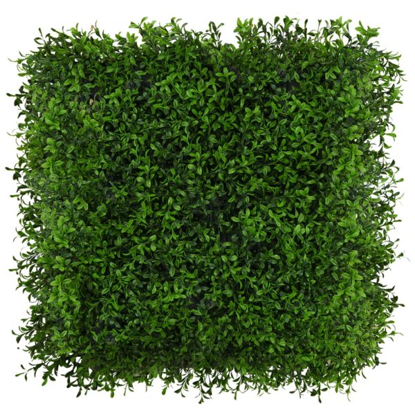 GD283_BUXUS_UV_1_NA_1