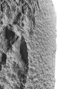 kohatasu-pu-panel-vinson2-60x120 cm_1