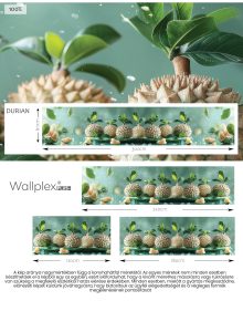 tuskes-durian-vizallo-konyhapanel-falburkolat